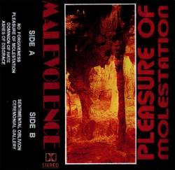 Pleasure of Molestation